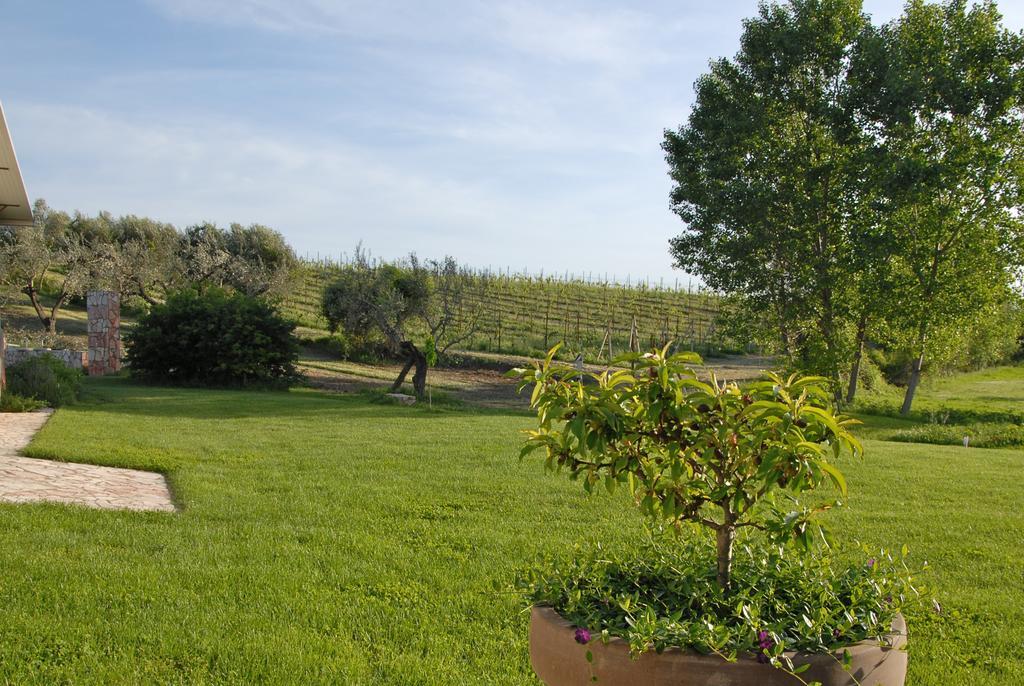Agriturismo Arte Et Agricoltura Tuscania Exterior photo
