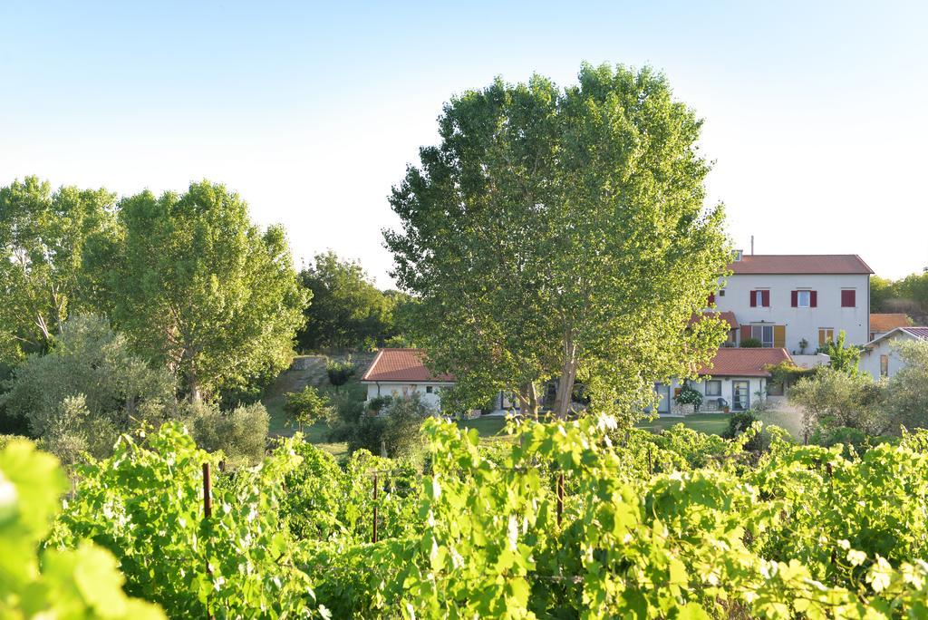 Agriturismo Arte Et Agricoltura Tuscania Exterior photo