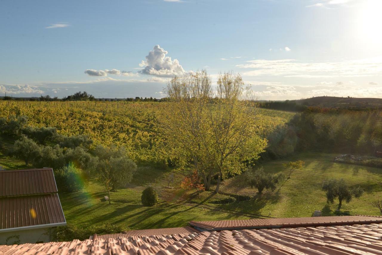 Agriturismo Arte Et Agricoltura Tuscania Exterior photo